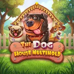 The Dog House Multihold game at Goldwin Casino for United Kingdom players The Dog House Multihold game at Goldwin Casino for United Kingdom players